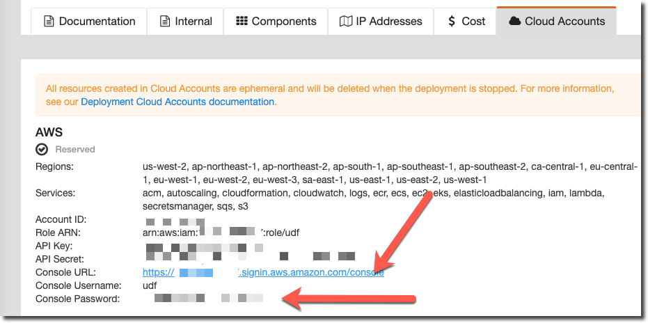 ../../_images/aws-console-password.png