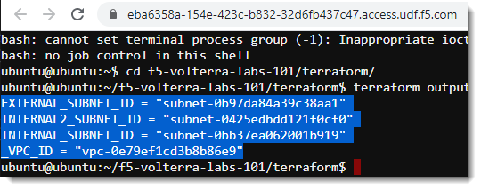 ../../_images/web-shell-copy-terraform-output.png
